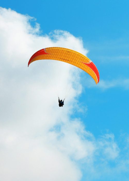 pexels-miriamespacio-1877832