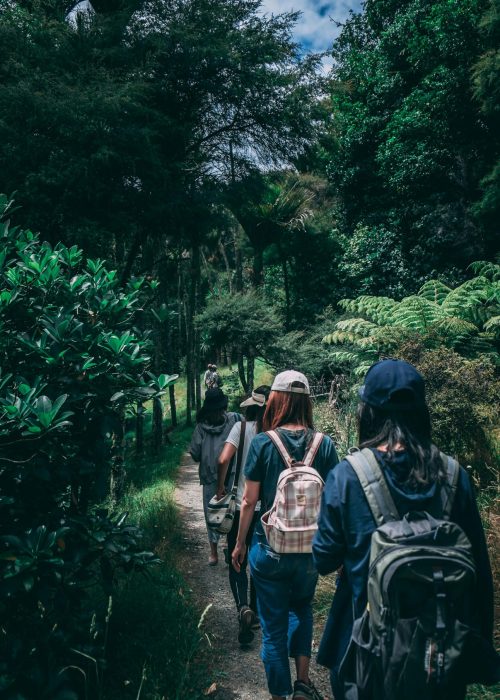 pexels-qjpioneer-917510